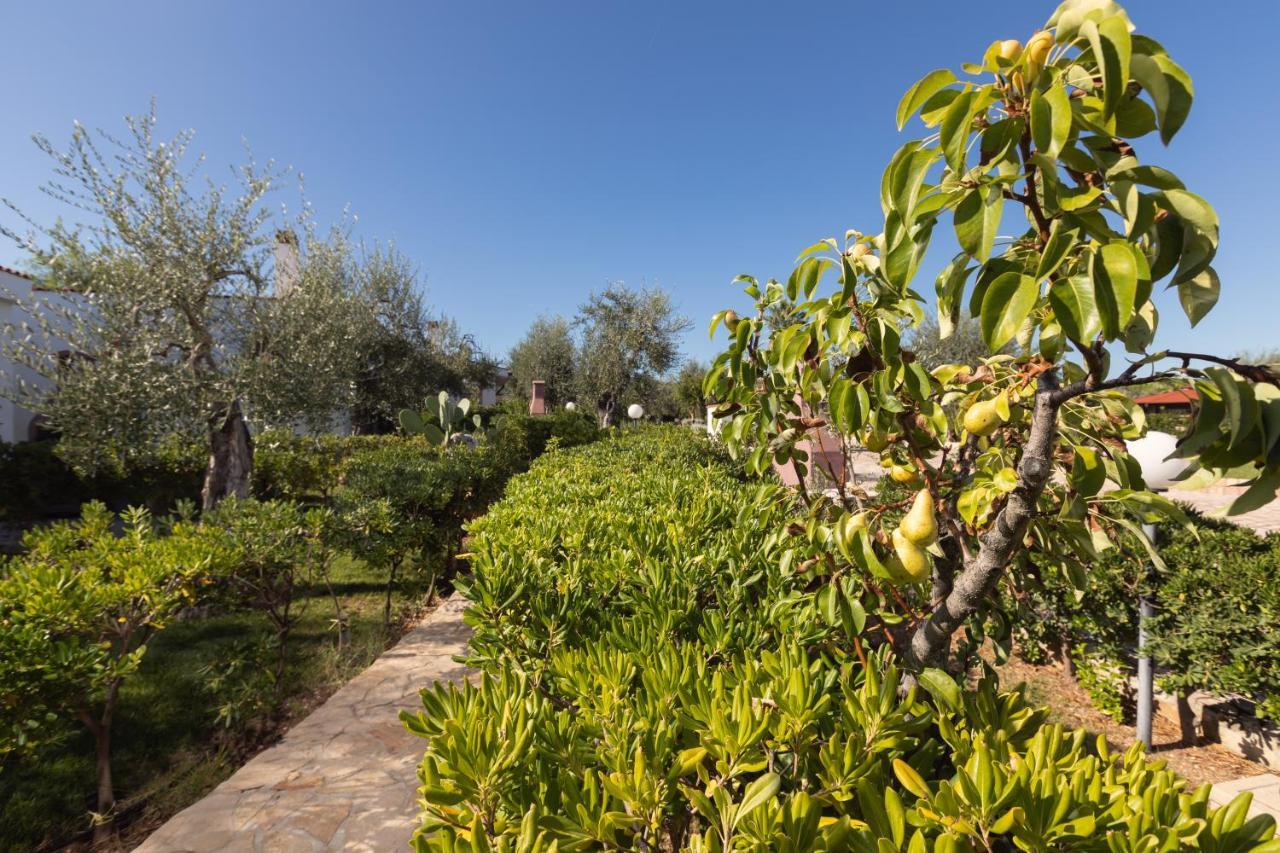 Residence Villantica Vieste Dış mekan fotoğraf